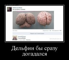 Как догадался, что он повар?