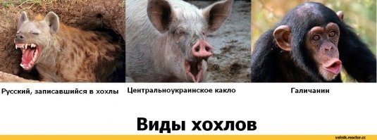 Картинки с надписями