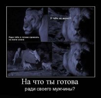 Подборка прикольных фоток для поднятия настроения 