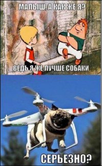 Подборка прикольных фоток для поднятия настроения 