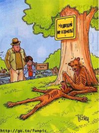 Покормил медведя - убил медведя! Женщина накормила дикого медведя хлебом