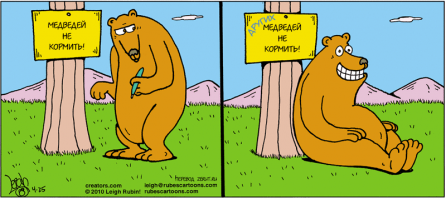 Покормил медведя - убил медведя! Женщина накормила дикого медведя хлебом