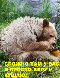 Покормил медведя - убил медведя! Женщина накормила дикого медведя хлебом