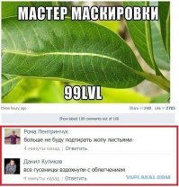 Найдите на фото спрятавшихся животных