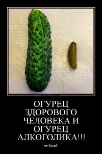 Самогонщики всех стран, объединяйтесь!