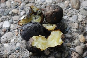 Лучше в углях! Отвечаю!