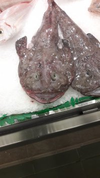 Вот такая рыба-чёрт продаётся в магазинах Каталониии, так же её очень уважают и на Сицилии, в Греции и много где. Чем она краше рыбы-капли??.