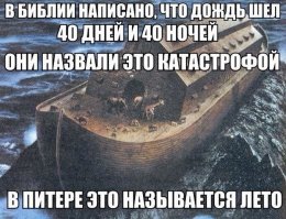 Подборка прикольных фоток для поднятия настроения 