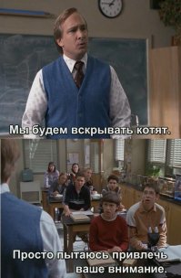 Подборка прикольных фоток для поднятия настроения 