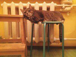 Очередная порция картинок с подписями и без