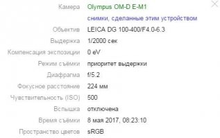 Фотоохота на зимородка окончилась невероятным успехом!