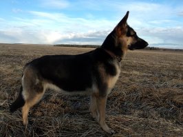 моя красавица
1 месяц, 3.5 месяца, 12 месяцев