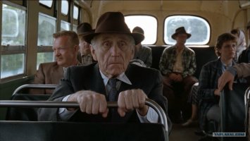 Зоозащитники освободили 75-летнего слона, который 50 лет просидел на цепи