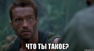 "Хищник". Как изменились актёры фильма за 30 лет