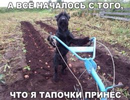 Ага, сначала сама Эклипс погуляй, а потом и.....