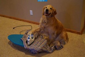 Ага, сначала сама Эклипс погуляй, а потом и.....