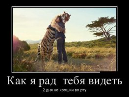 А что тогда во рту, если не крошки?