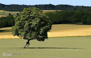 Скучно им там! )) !