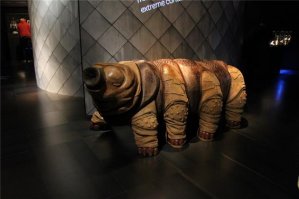 Вот такое стоит  музее Micropia в Амстердаме. Для любителей мелкой дряни очень интересное заведение.