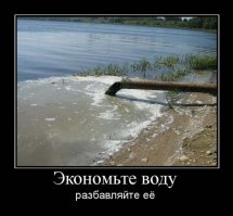 Не стоит купаться в речках Флориды!