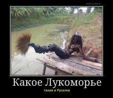 Не стоит купаться в речках Флориды!