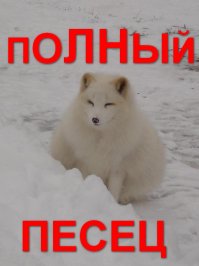 7 звёзд немодельных параметров, которые носят откровенные наряды