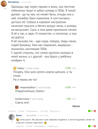 Домашняя черепашка, отсутствующая дома три недели, оказывается тусила на вечеринке