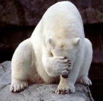 Для своего проекта фотограф не выкидывал мусор целых 4 года