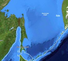 Это свет так падал при съемке со спутника. Там коричневое пятно, но когда увеличиваешь масштаб, то все нормально.