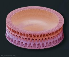 это ж колизей!