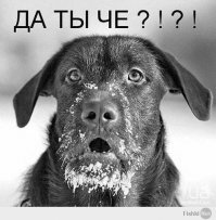 Держатели для бумаги из бетона своими руками