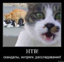 Спустя 20 лет мать "восстала из мёртвых", чтобы отобрать у сына квартиру