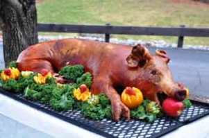 Эта девушка не пожалела денег и времени на то, чтобы спасти своего любимца