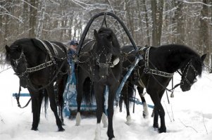 полный 12 копытный привод! )))