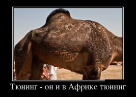 Ничего, что это индийский тюнинг?