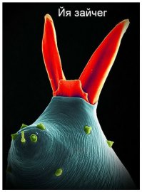 Волшебный и фантастический микромир. Часть 2