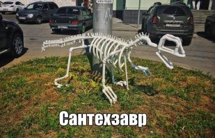 Липецк. У магазина "Теплый дом" на Баумана.