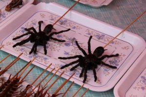 Лучше уж пускай продолжают это кушать. Сам снимал в Маньчжурии.