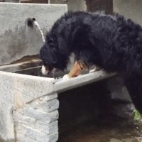 Даааа, в такой то шубе конечно жарко... =D