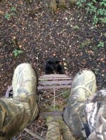 Неприятности, которые случаются в повседневной жизни