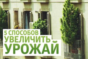 По-настоящему крутые идеи для дачи, которые можно взять на вооружение