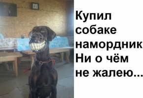 Забавные картинки