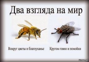 Опять Рашка? Не-е-ет!