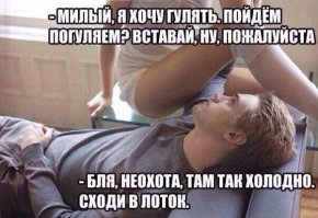 Подборка прикольных картинок из паутины