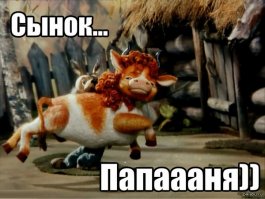 Захватывающее видео: лев заботится о детеныше антилопы