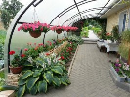 По-настоящему крутые идеи для дачи, которые можно взять на вооружение