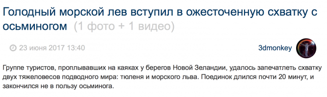 а куда делся тюлень?