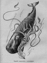 Аффтар слегка перепутал лёгкий перекус со схваткой:)