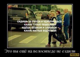 В Мехико храбрая велосипедистка устроила погоню по проезжей части за сорвавшейся с поводка собакой