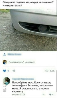 Почему сразу антифриз?  Может быть, просто у кошки диабет.
